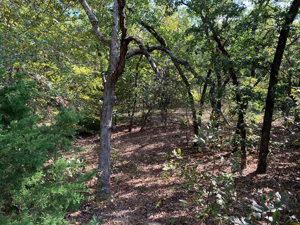 25.6 acres in HENDERSON County - photo 10