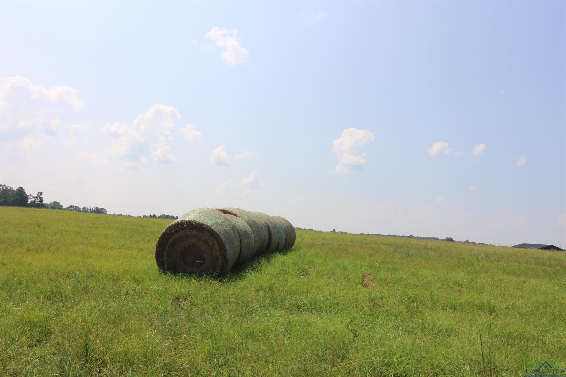 30 acres in Upshur County - photo 17