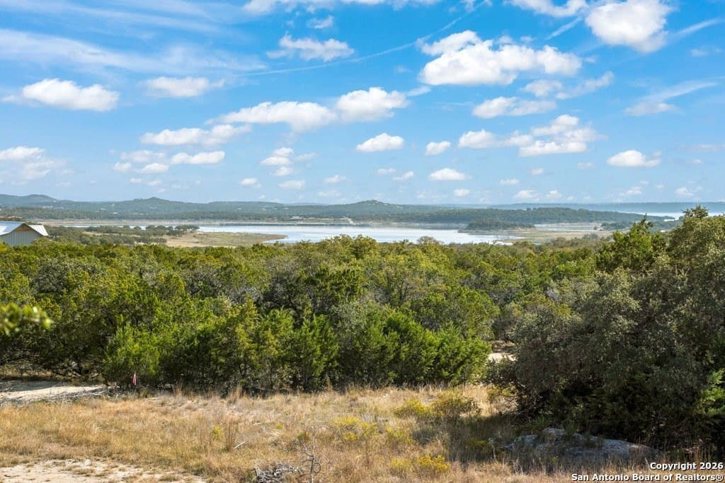 10.1 acres in Comal County - photo 31