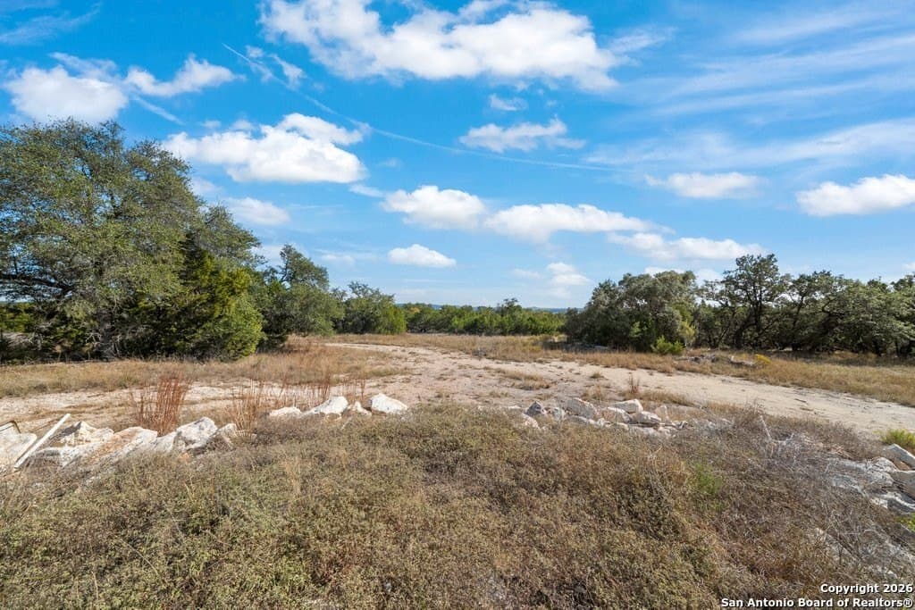 10.1 acres in Comal County - photo 32