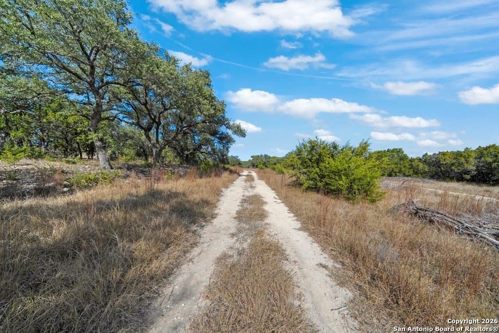 10.1 acres in Comal County - photo 33