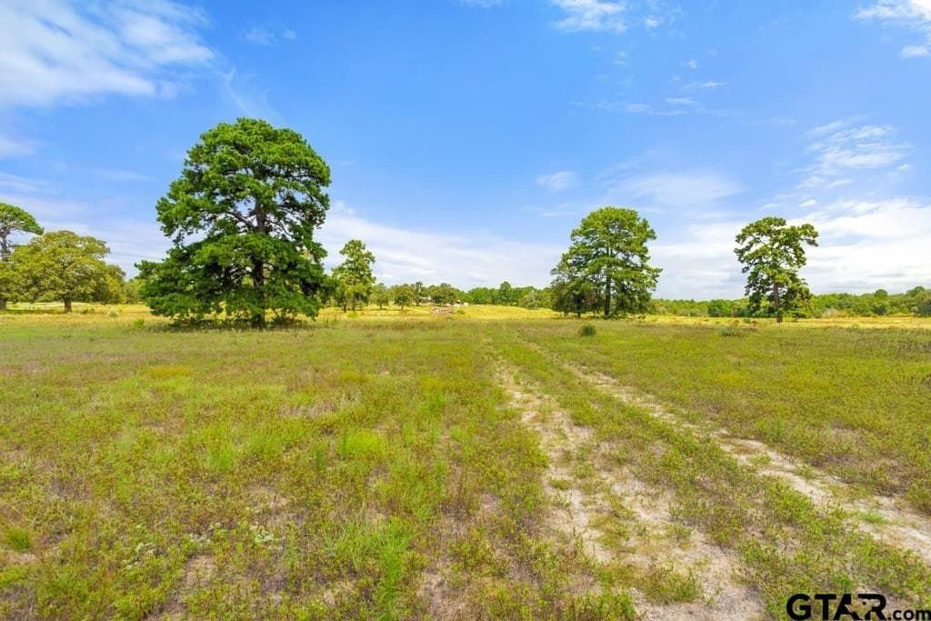 84 acres in Smith County - photo 36