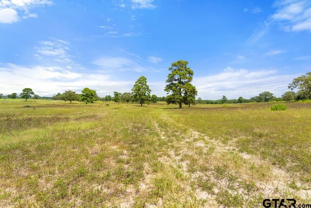 84 acres in Smith County - photo 35