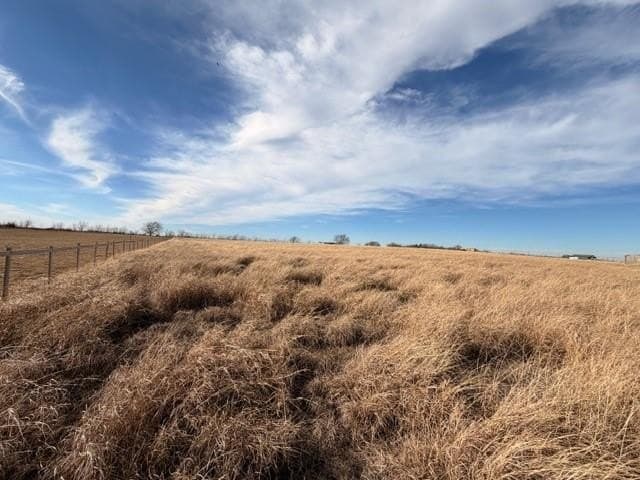 4.1 acres in Grayson County - photo 4