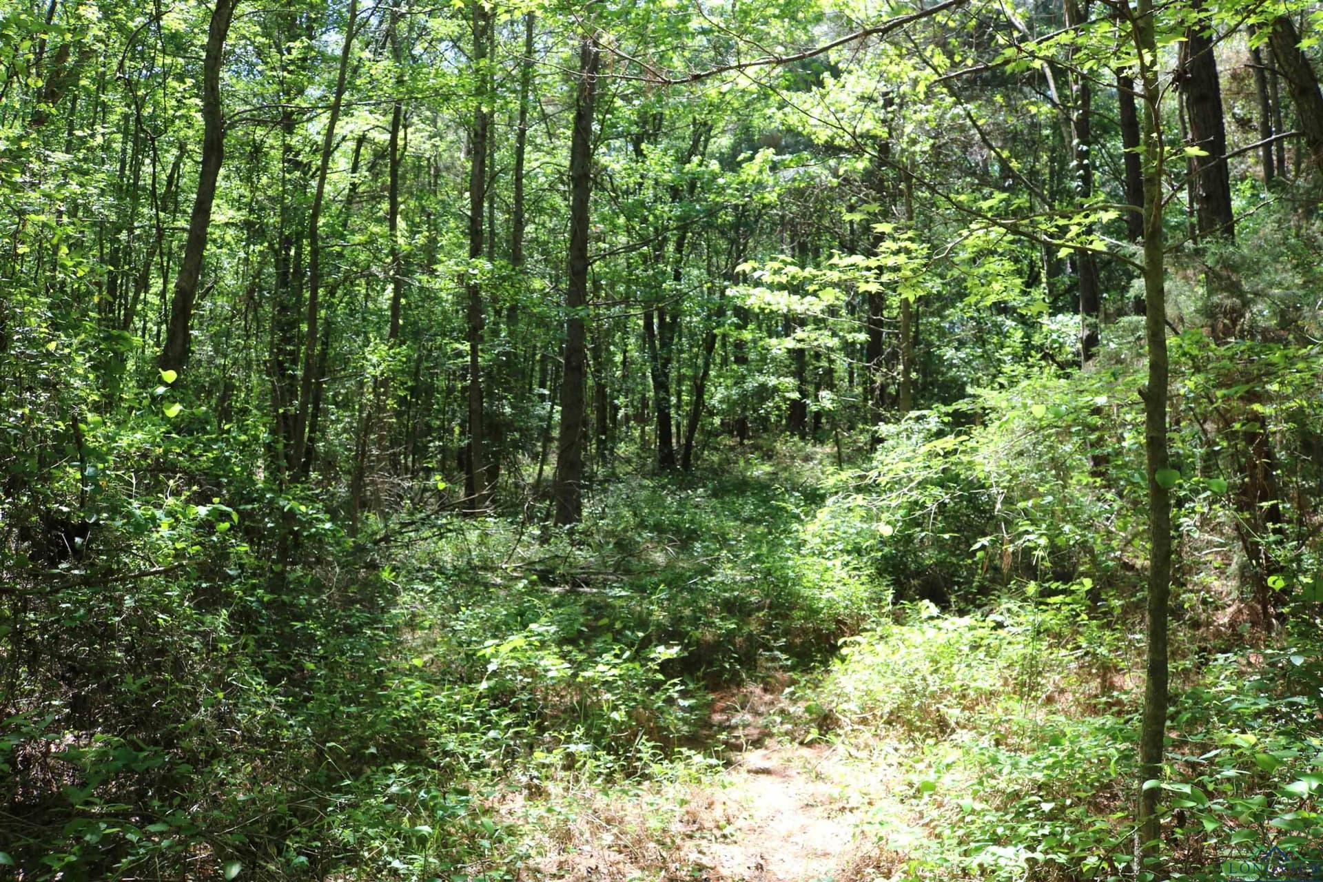 40.21 acres in Upshur County - photo 35
