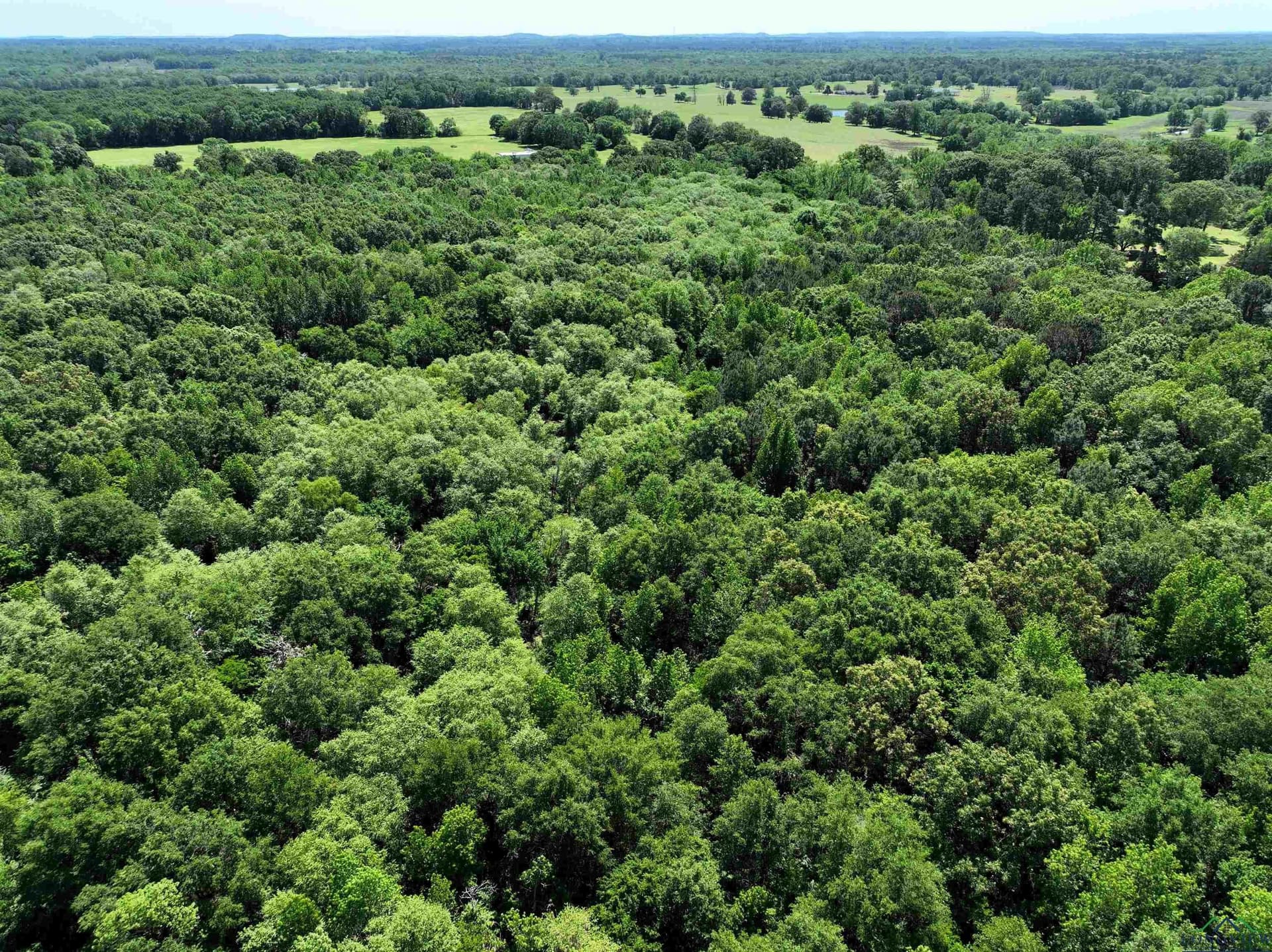 40.21 acres in Upshur County - photo 14