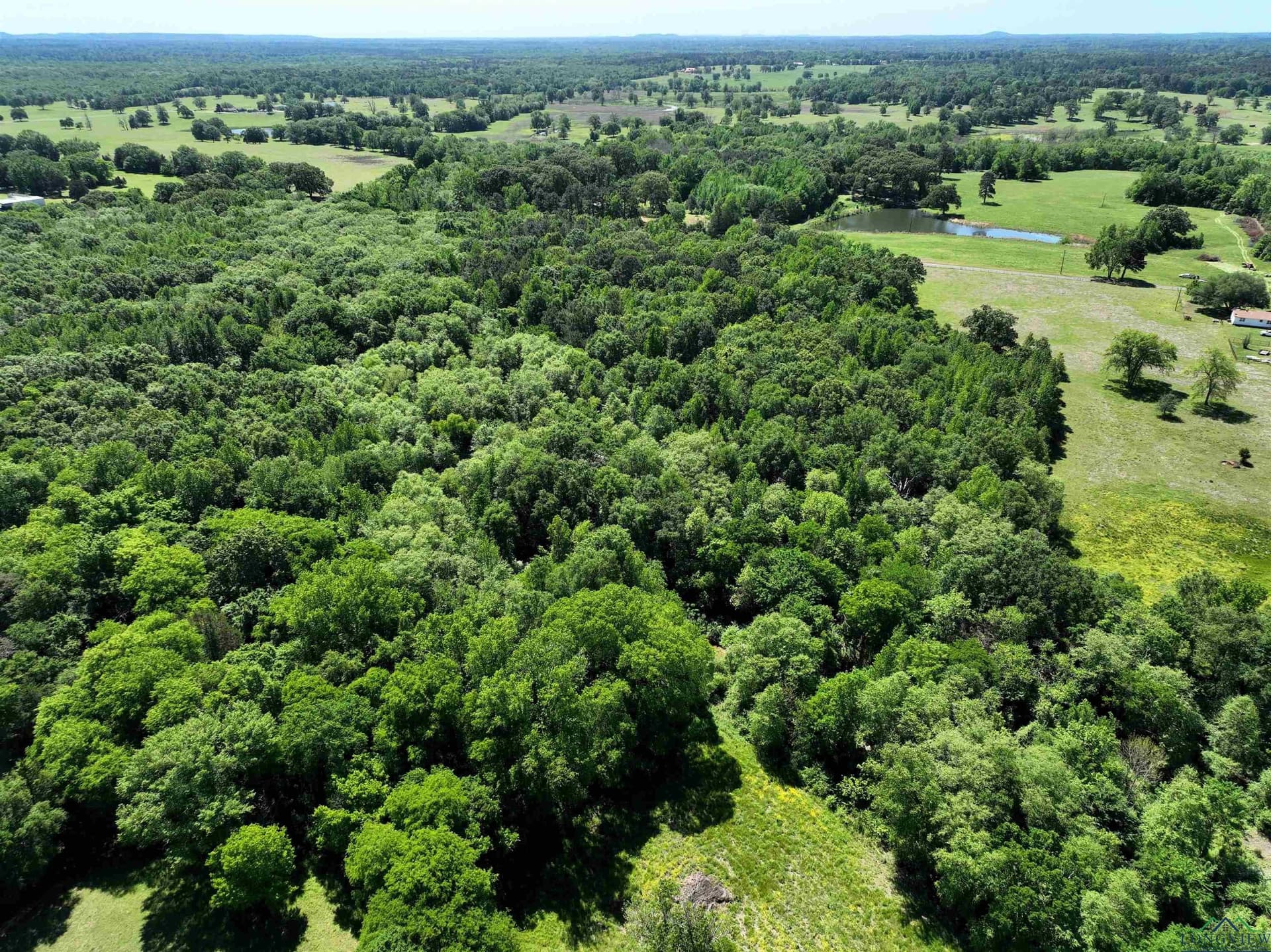 40.21 acres in Upshur County - photo 15