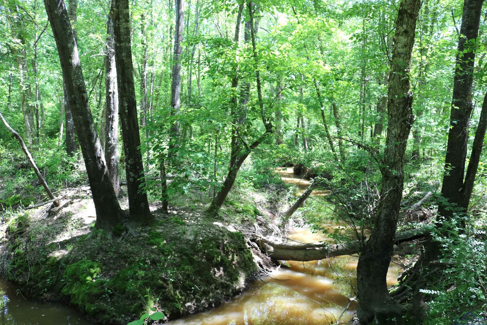 40.21 acres in Upshur County - photo 31