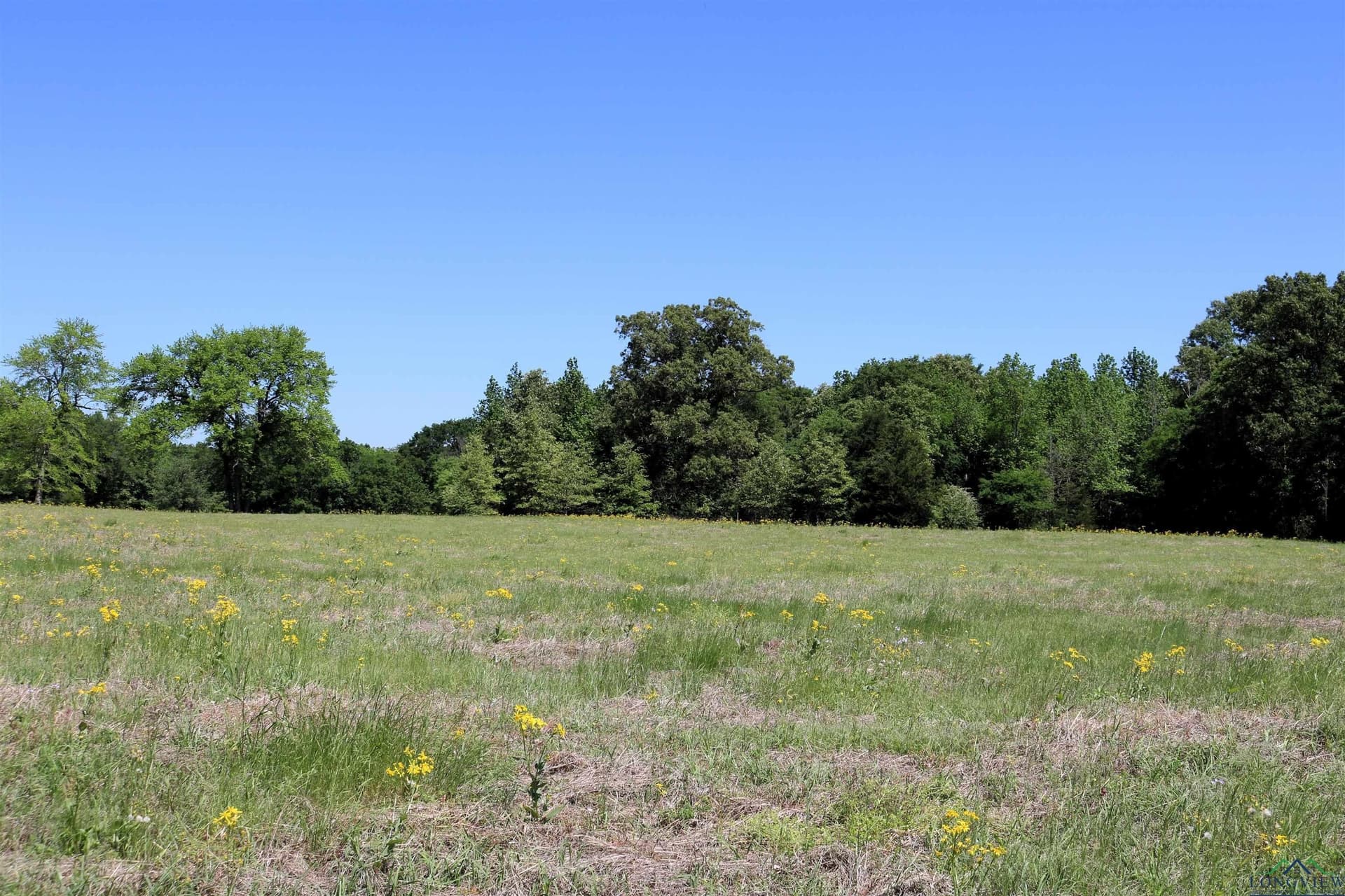 40.21 acres in Upshur County - photo 24
