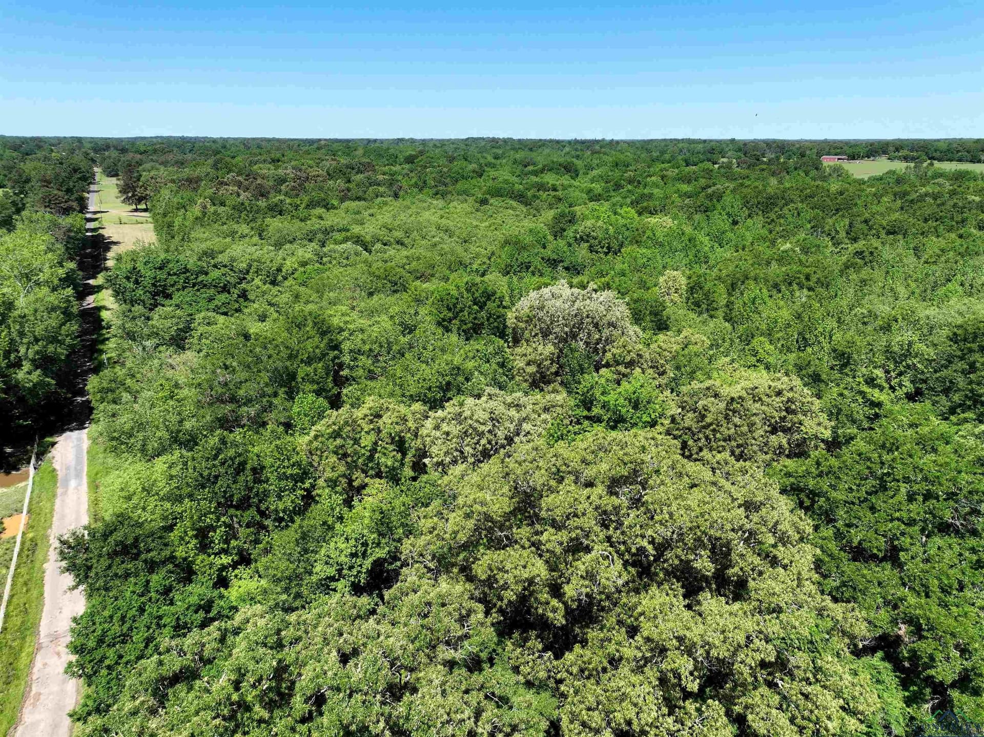 40.21 acres in Upshur County - photo 19