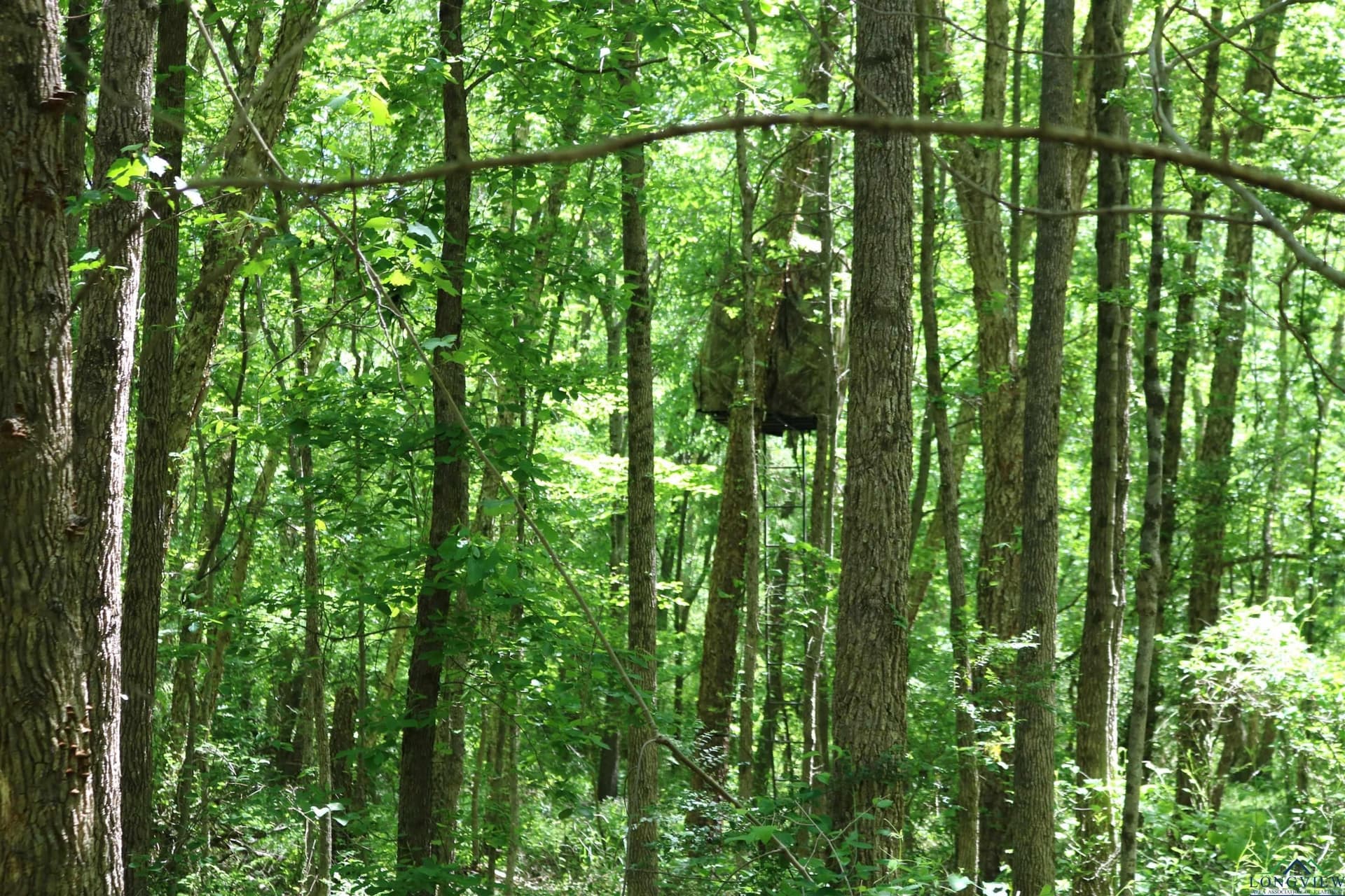 40.21 acres in Upshur County - photo 34