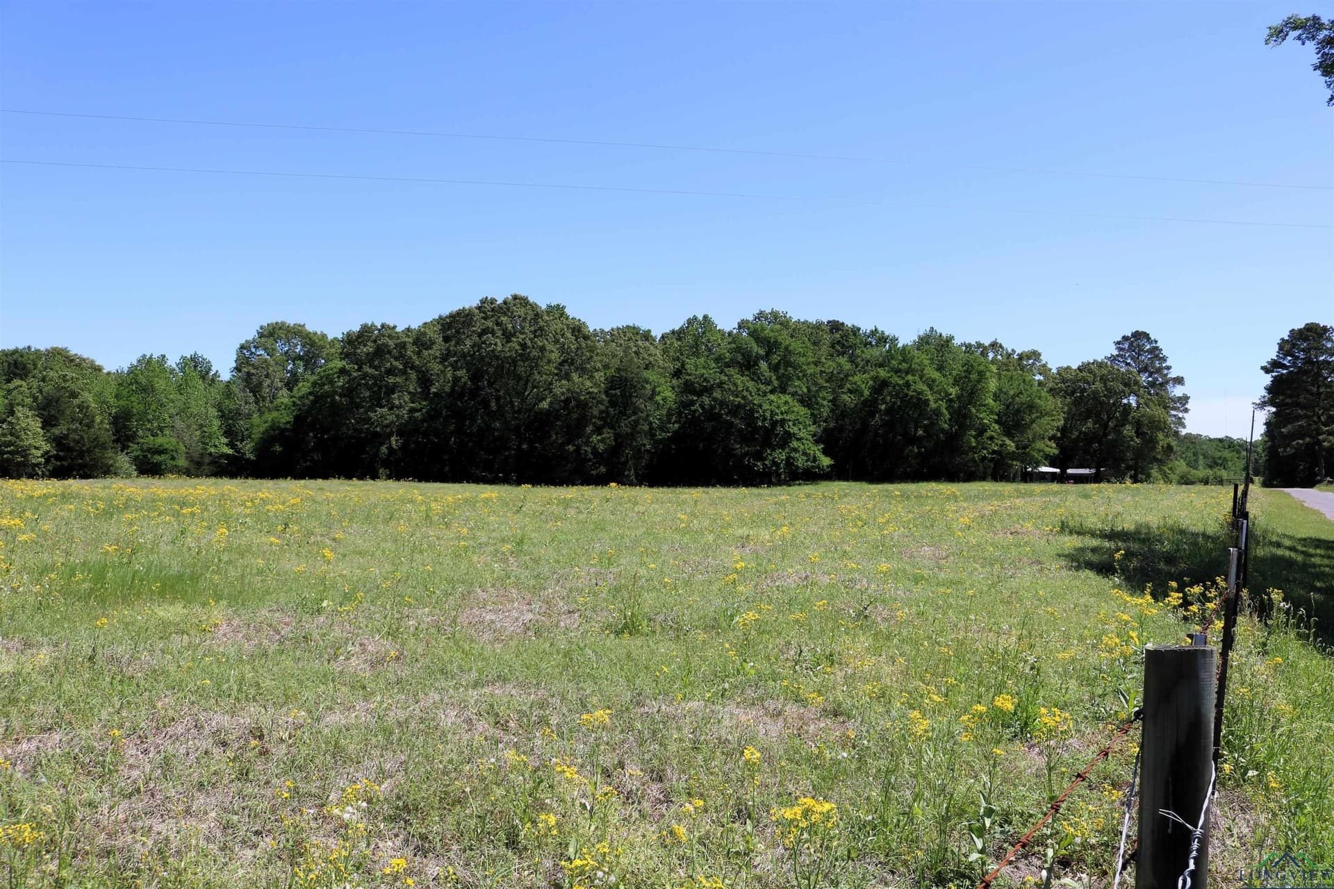 40.21 acres in Upshur County - photo 5