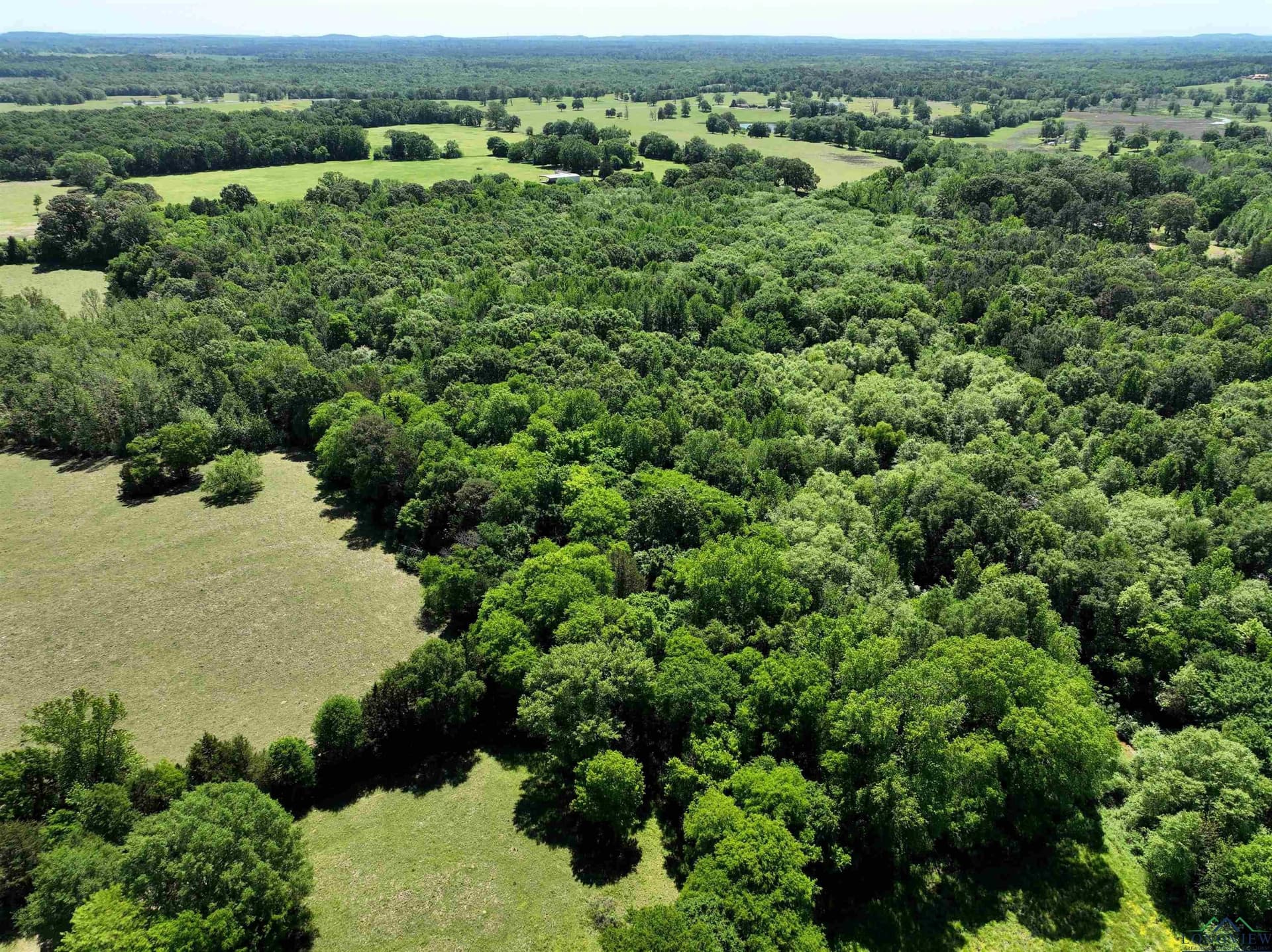 40.21 acres in Upshur County - photo 16
