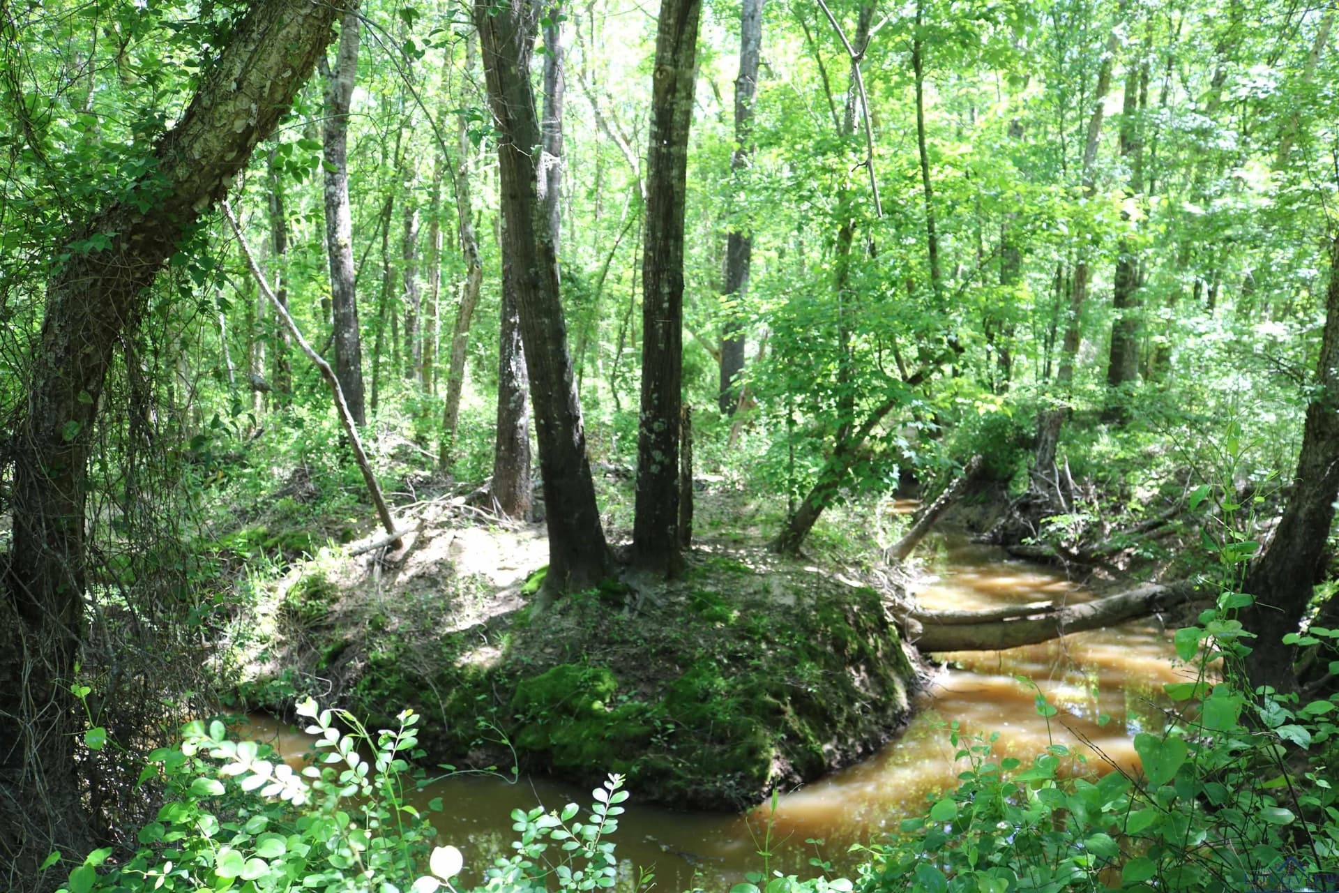 40.21 acres in Upshur County - photo 30