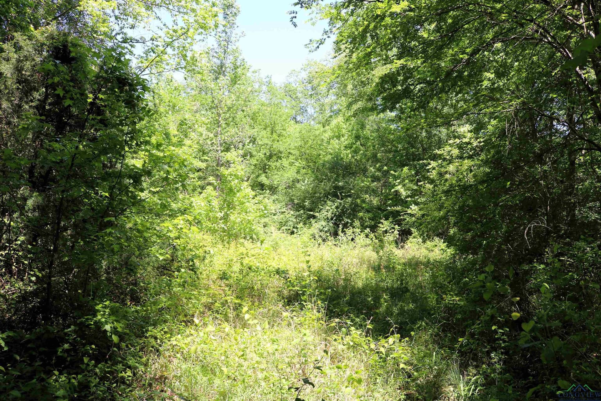 40.21 acres in Upshur County - photo 28