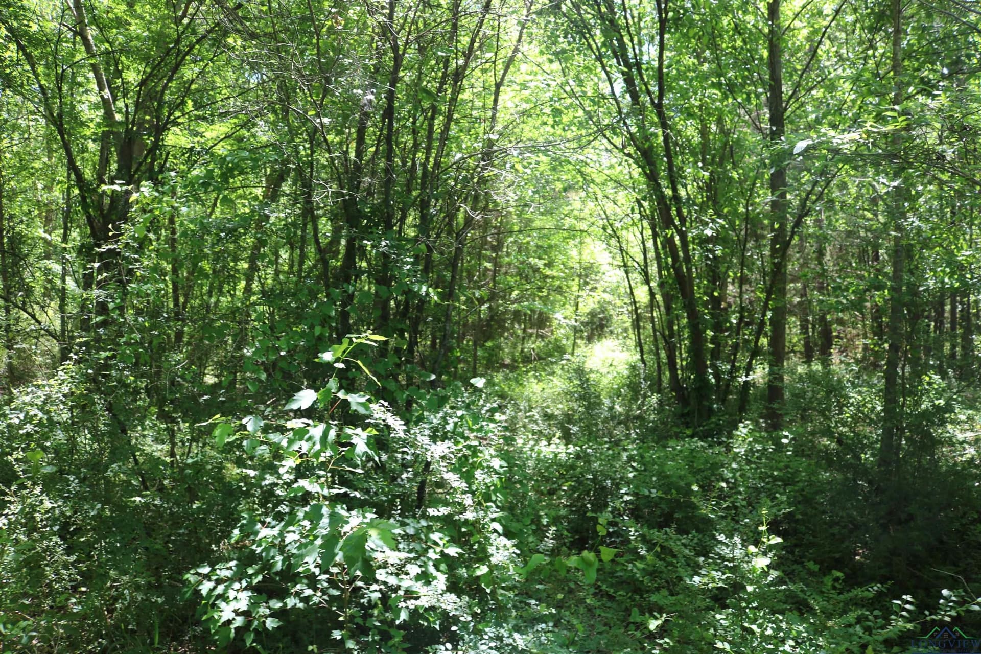 40.21 acres in Upshur County - photo 29