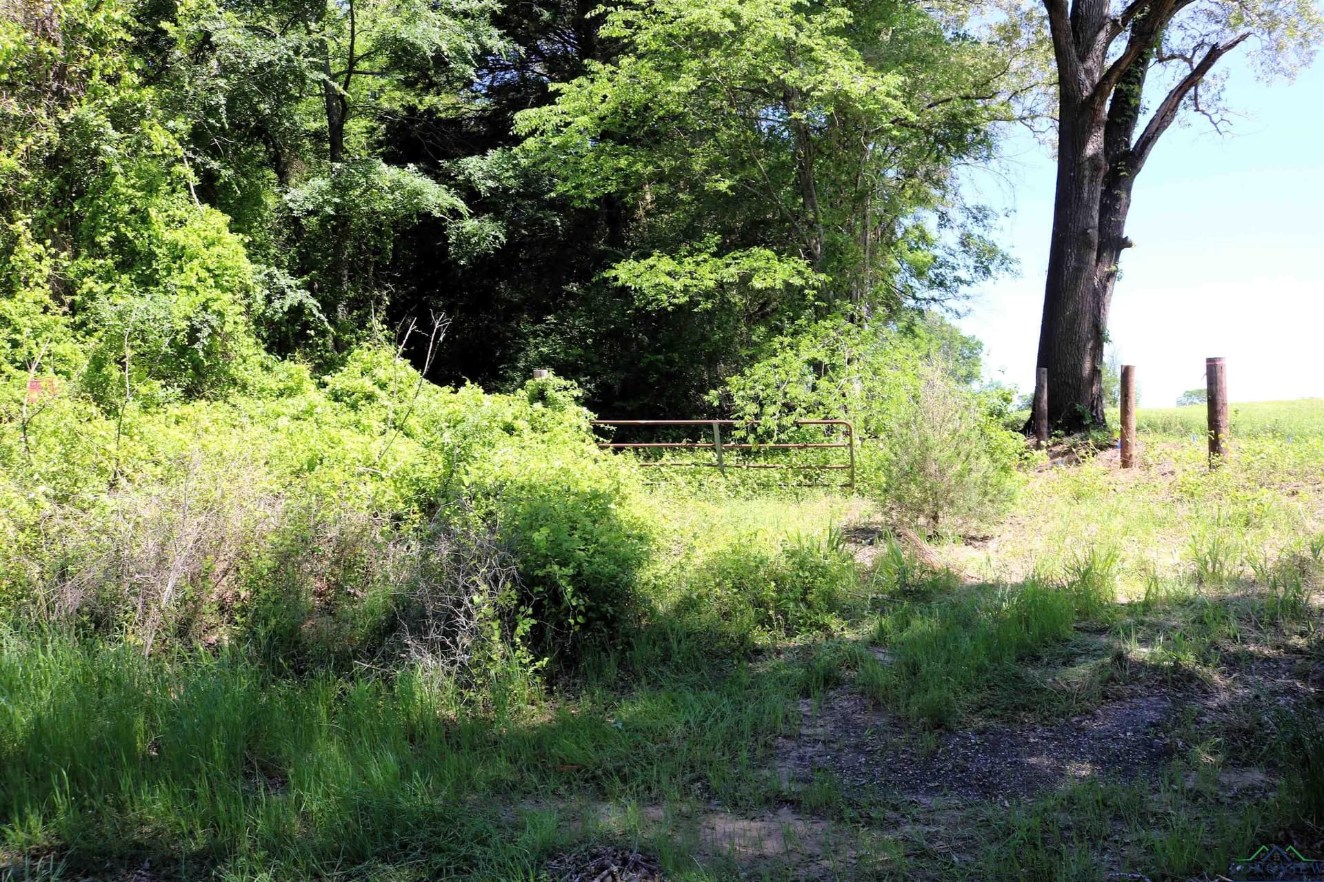 40.21 acres in Upshur County - photo 21
