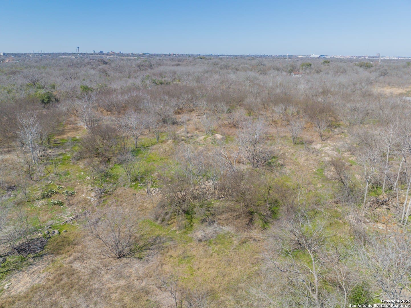 8.83 acres in Bexar County - photo 10