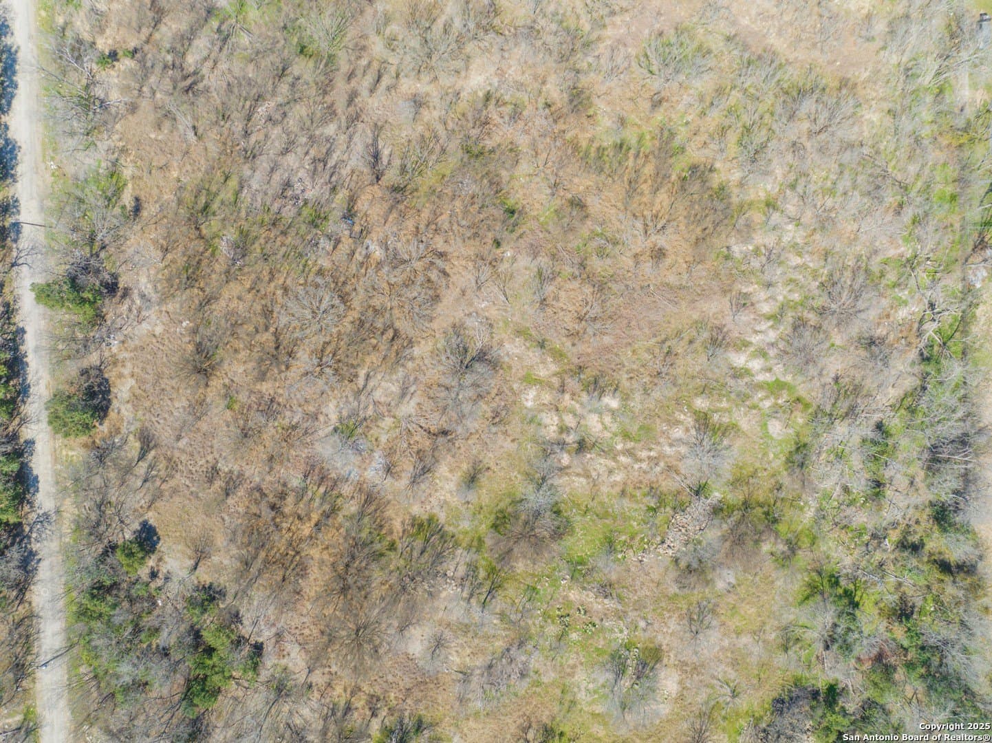 8.83 acres in Bexar County - photo 7