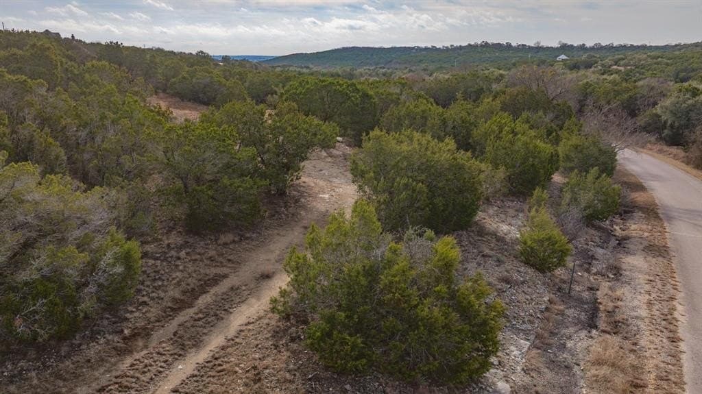 2.91 acres in Somervell County - photo 18