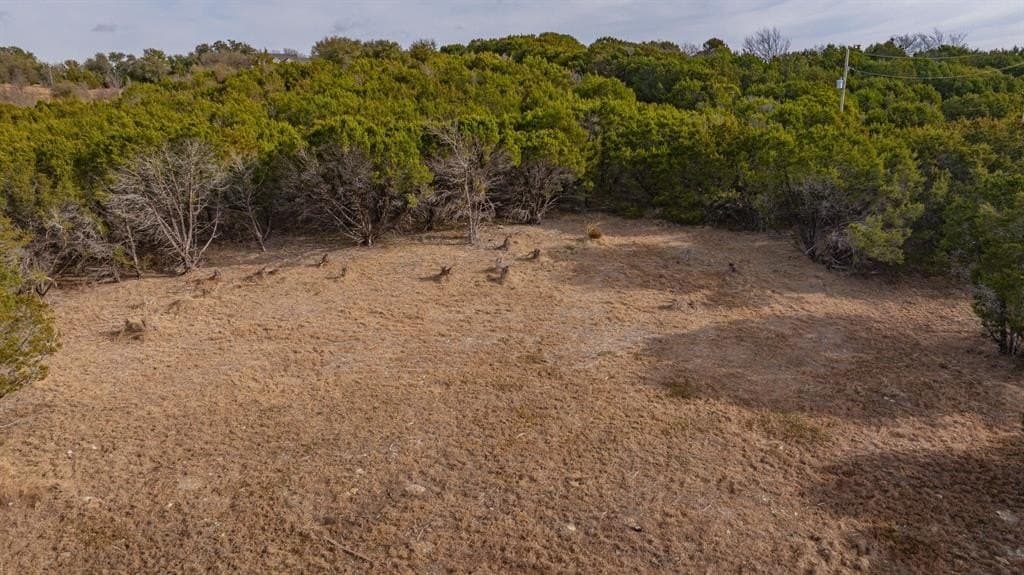 2.91 acres in Somervell County - photo 16