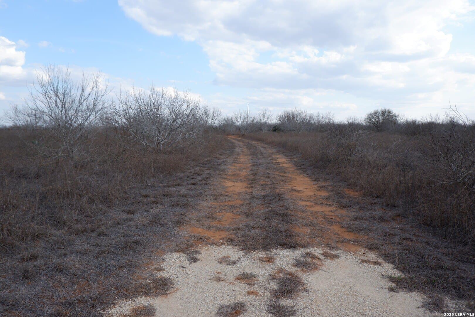 10.01 acres in Atascosa County - photo 23