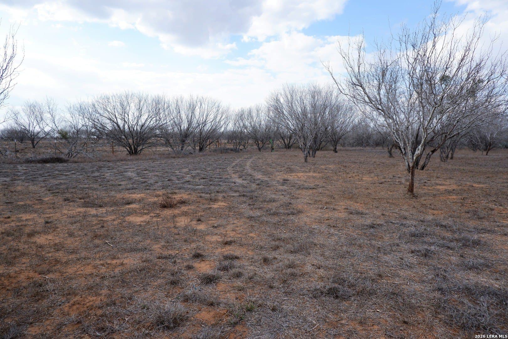 10.01 acres in Atascosa County - photo 14