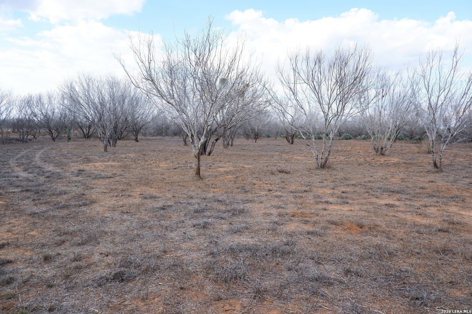 10.01 acres in Atascosa County - photo 15