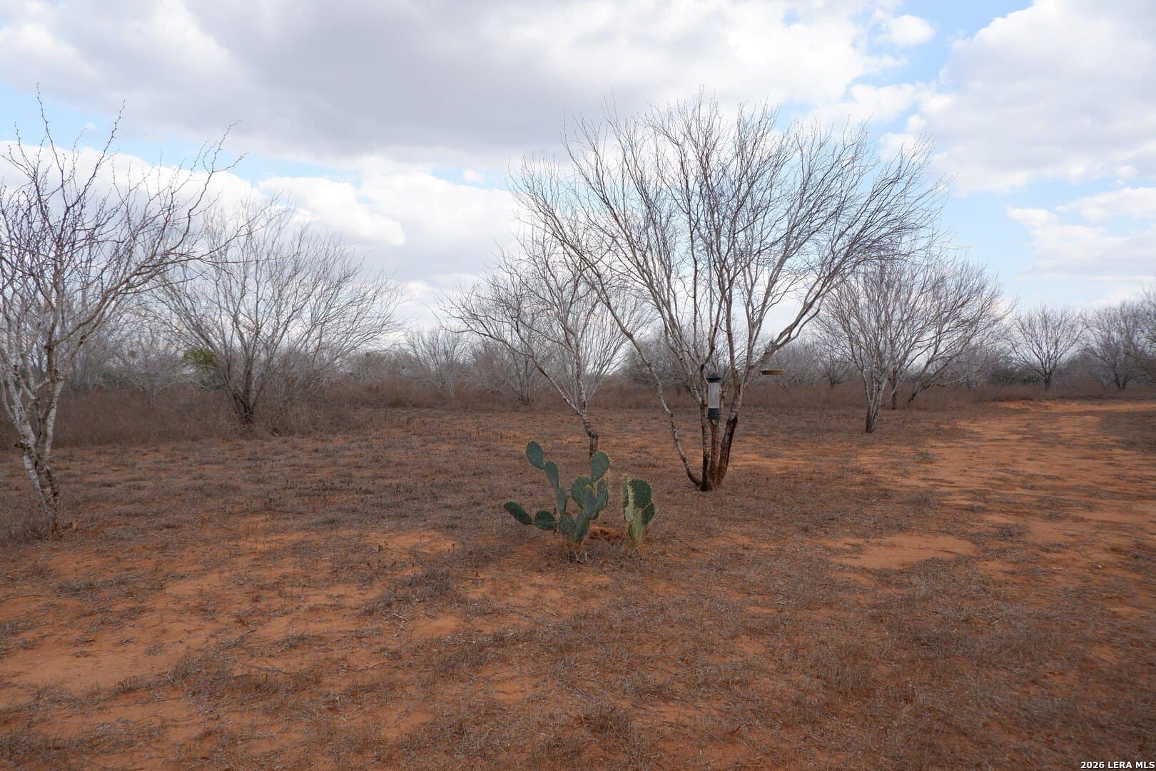 10.01 acres in Atascosa County - photo 20