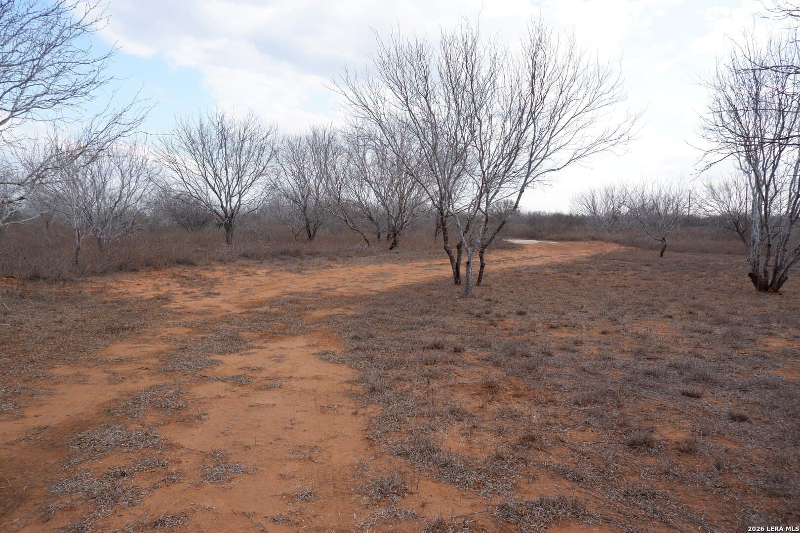 10.01 acres in Atascosa County - photo 21