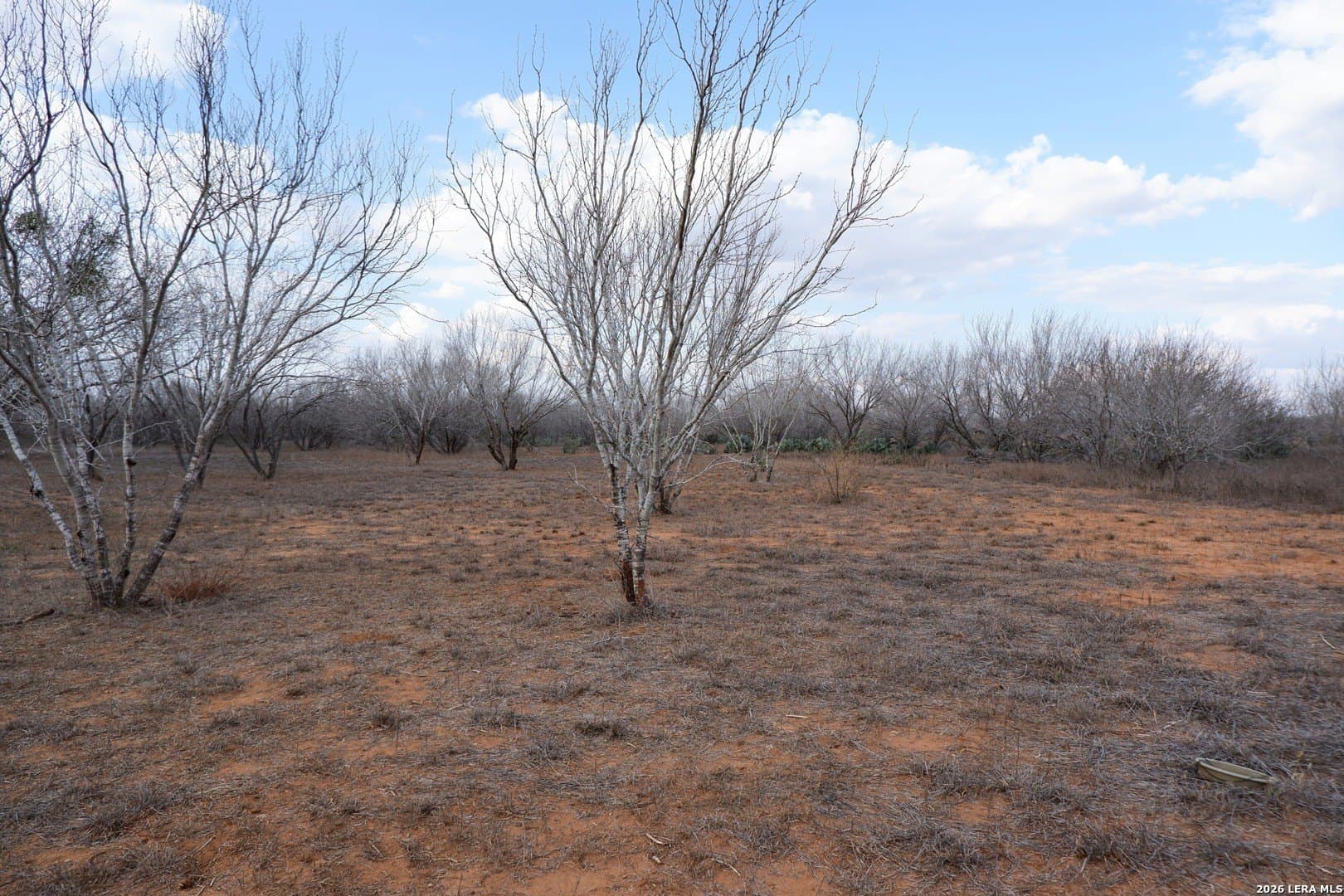 10.01 acres in Atascosa County - photo 18