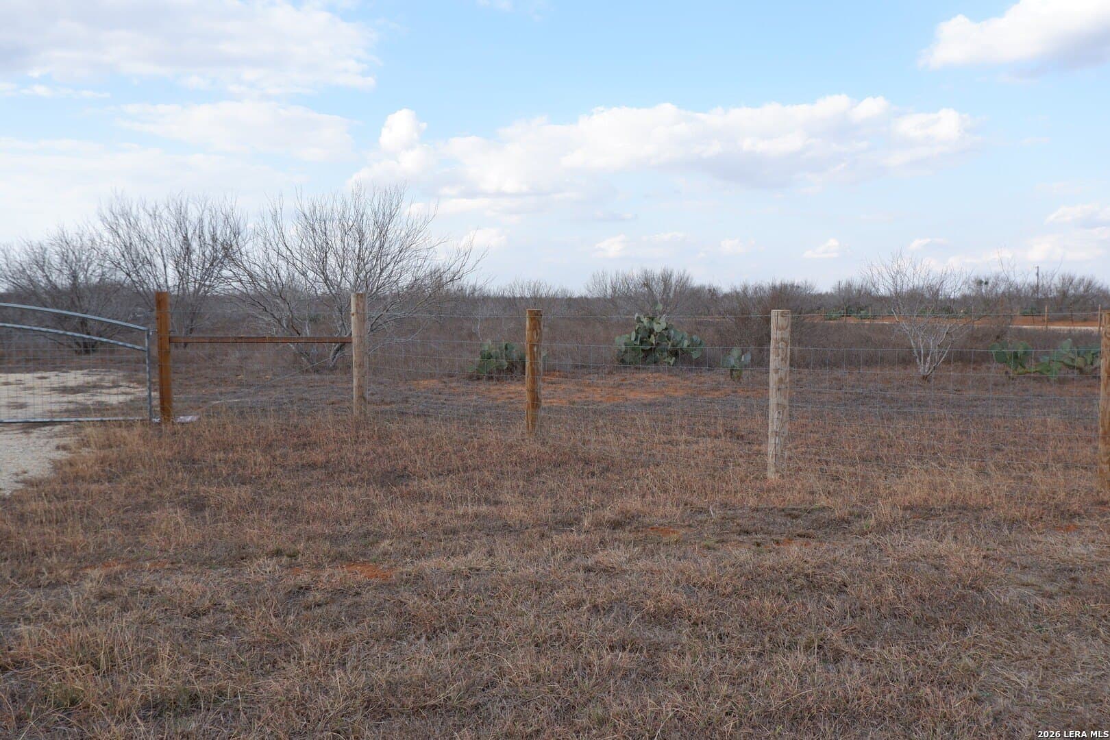 10.01 acres in Atascosa County - photo 3