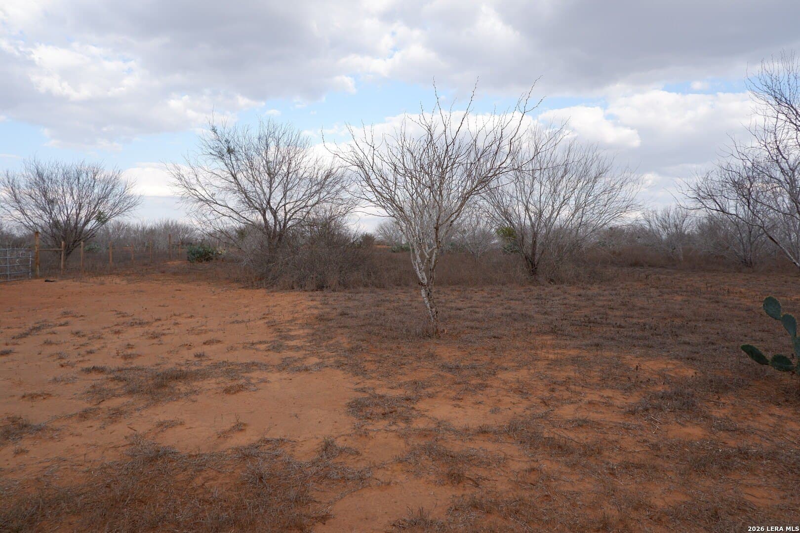 10.01 acres in Atascosa County - photo 19