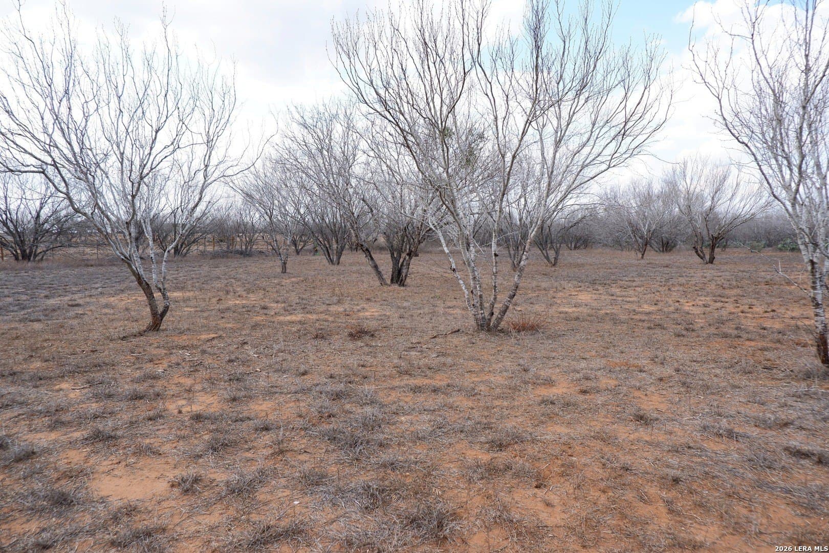 10.01 acres in Atascosa County - photo 17