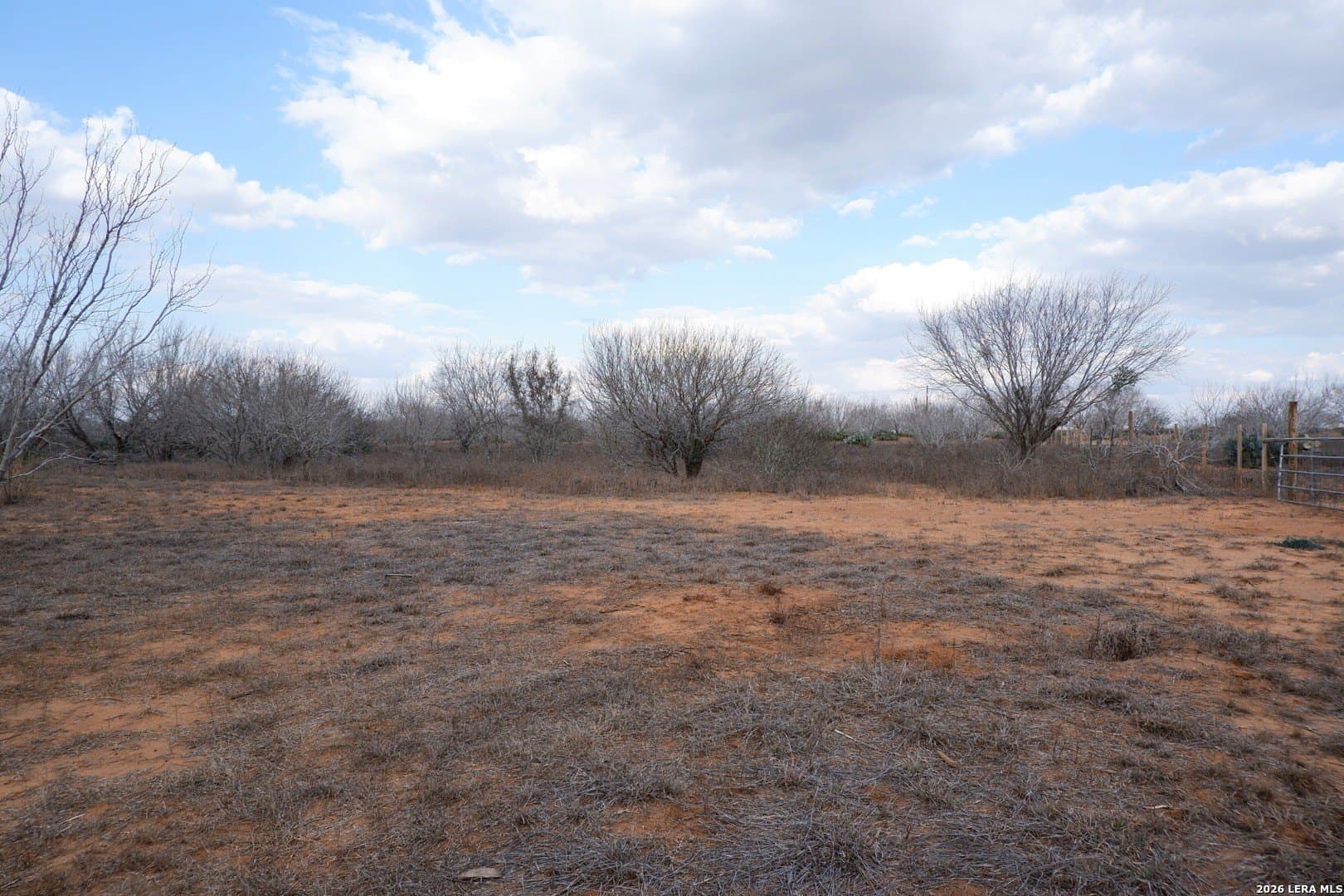 10.01 acres in Atascosa County - photo 16