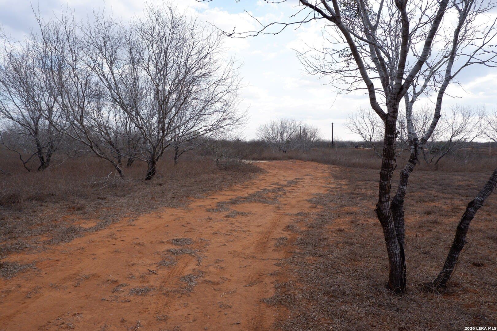 10.01 acres in Atascosa County - photo 22