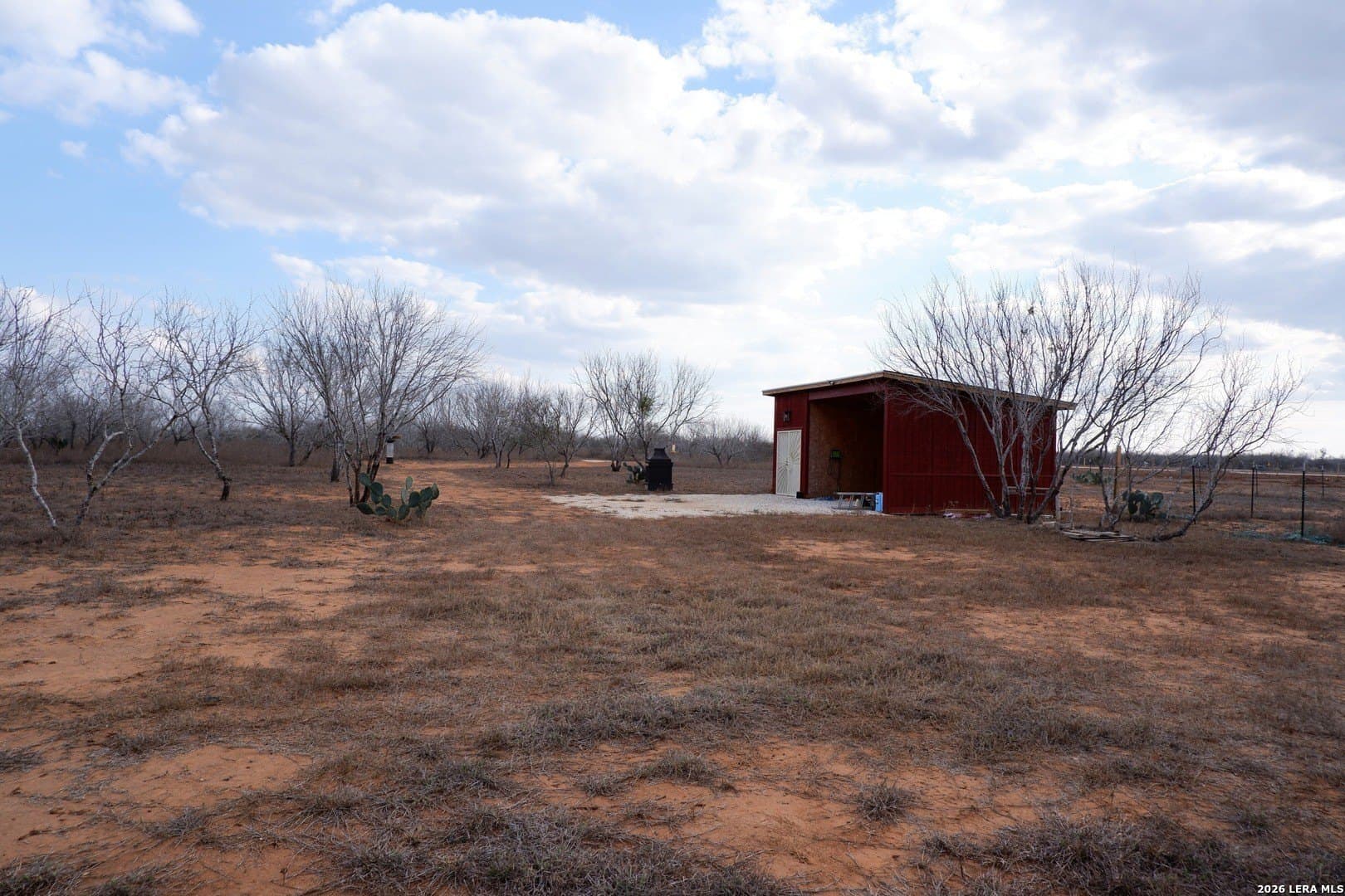 10.01 acres in Atascosa County - photo 8