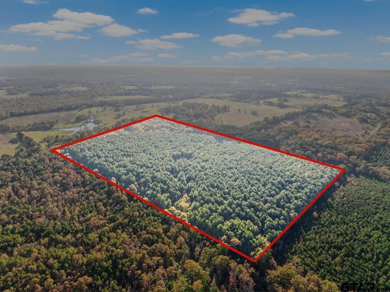 63.84 acres in Titus County - photo 2