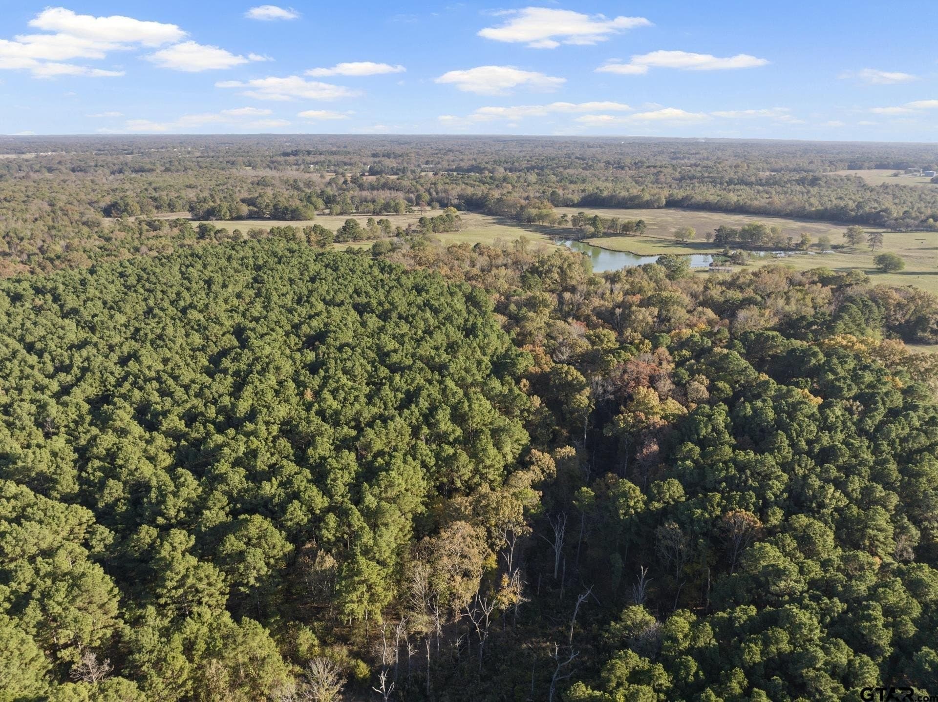 63.84 acres in Titus County - photo 10