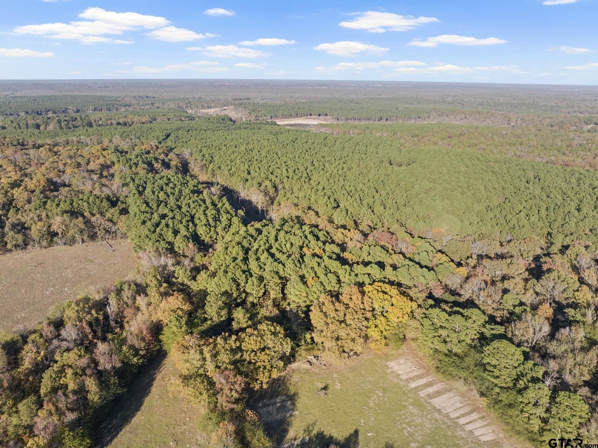 63.84 acres in Titus County - photo 11