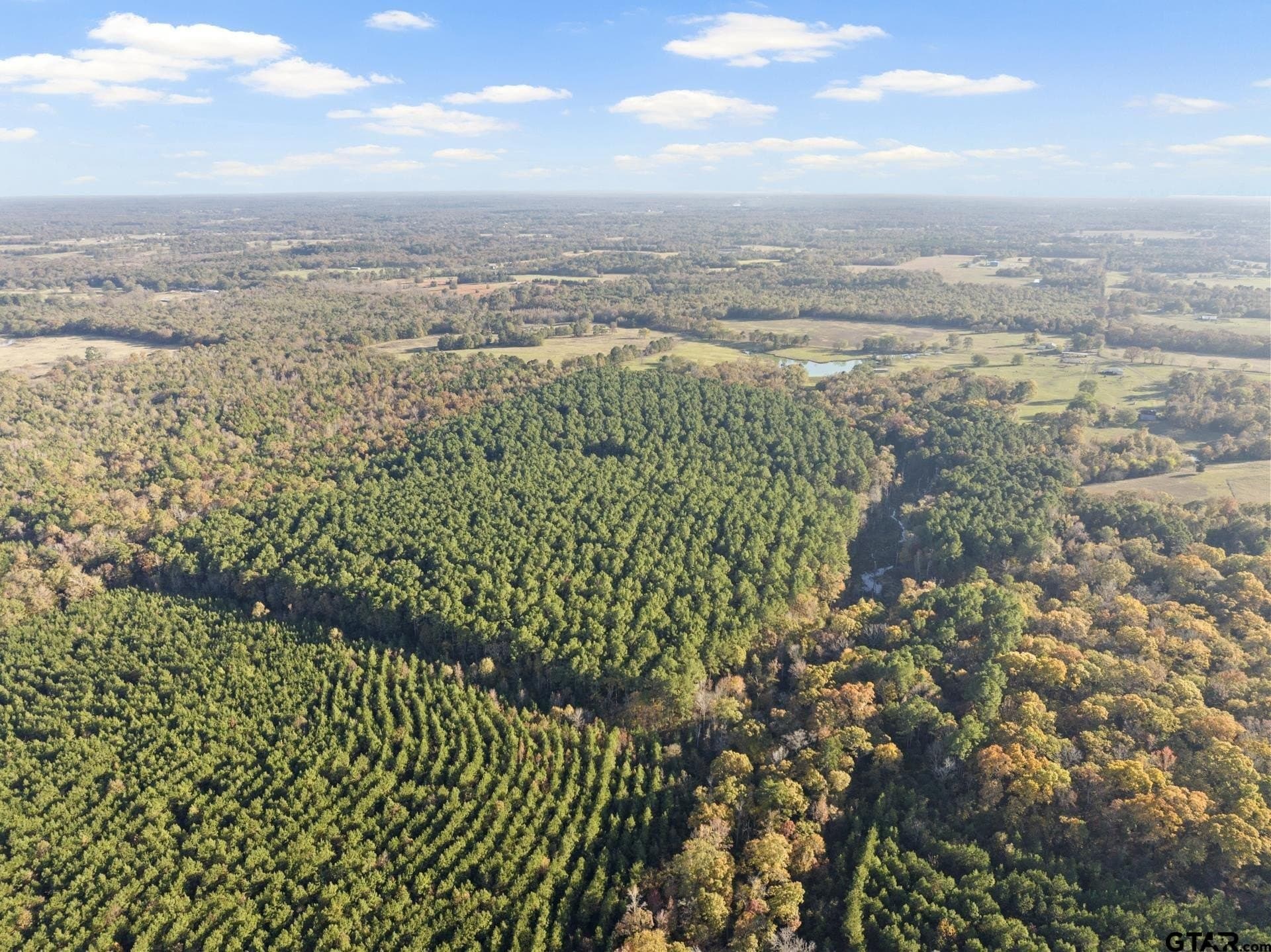 63.84 acres in Titus County - photo 9