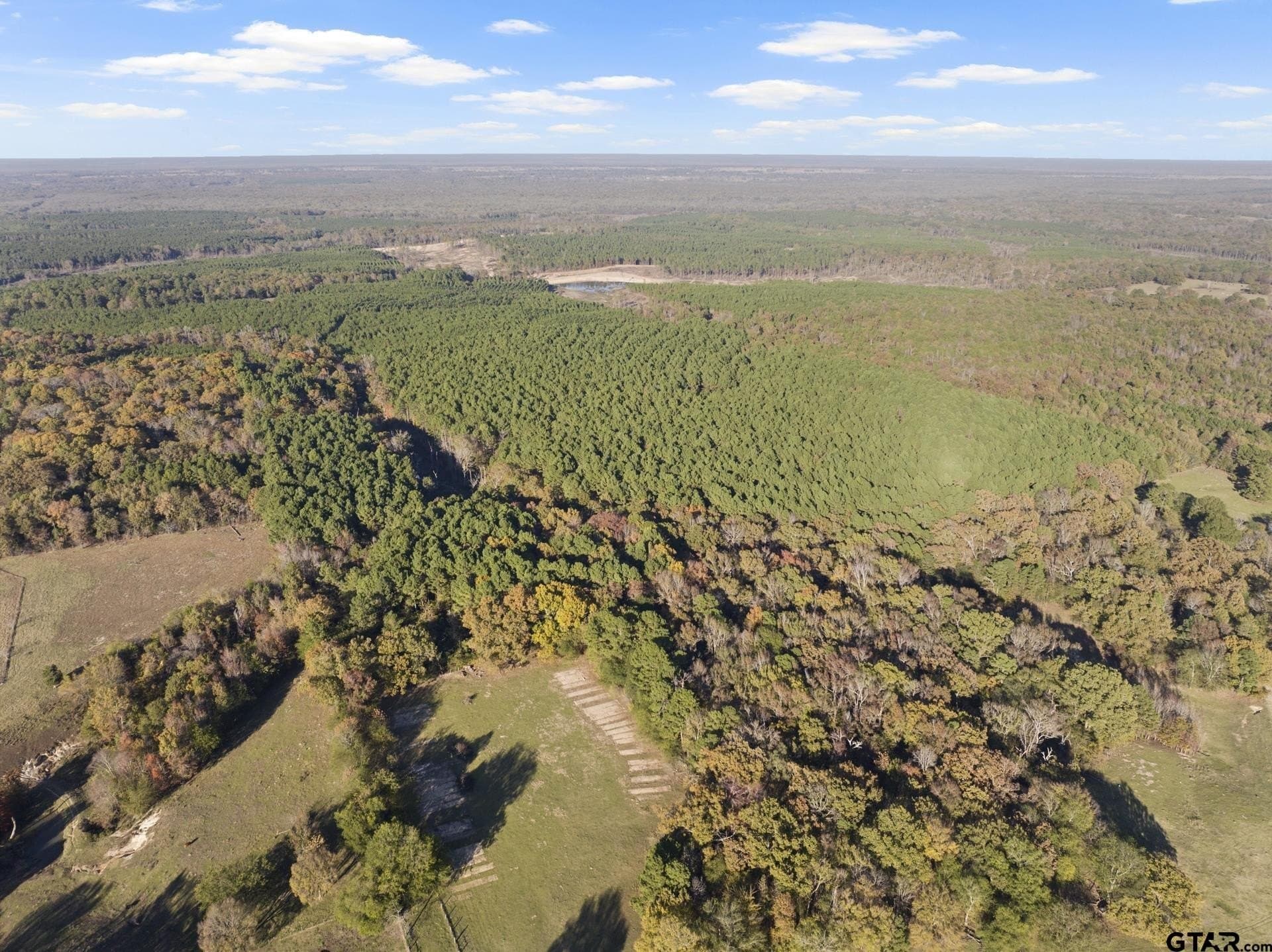 63.84 acres in Titus County - photo 7