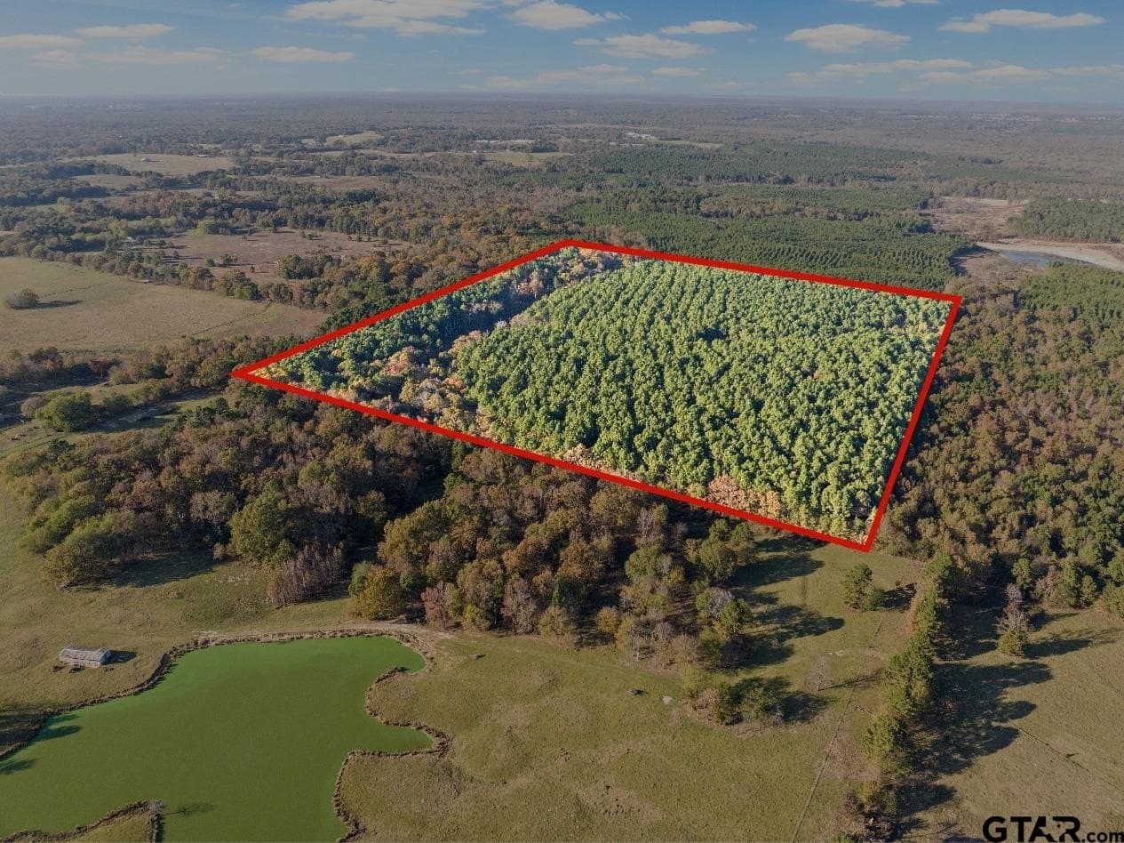 63.84 acres in Titus County - photo 3