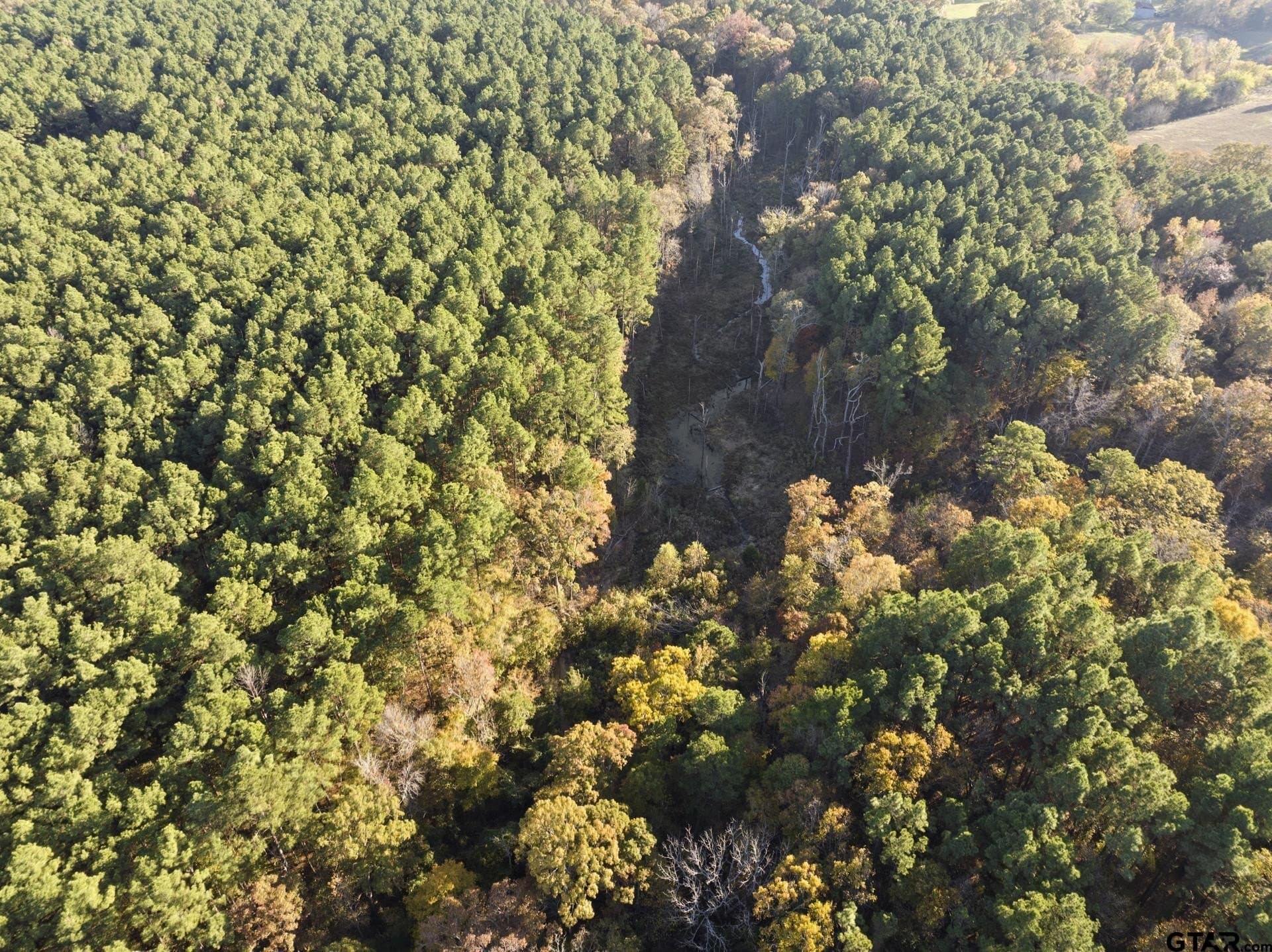 63.84 acres in Titus County - photo 4