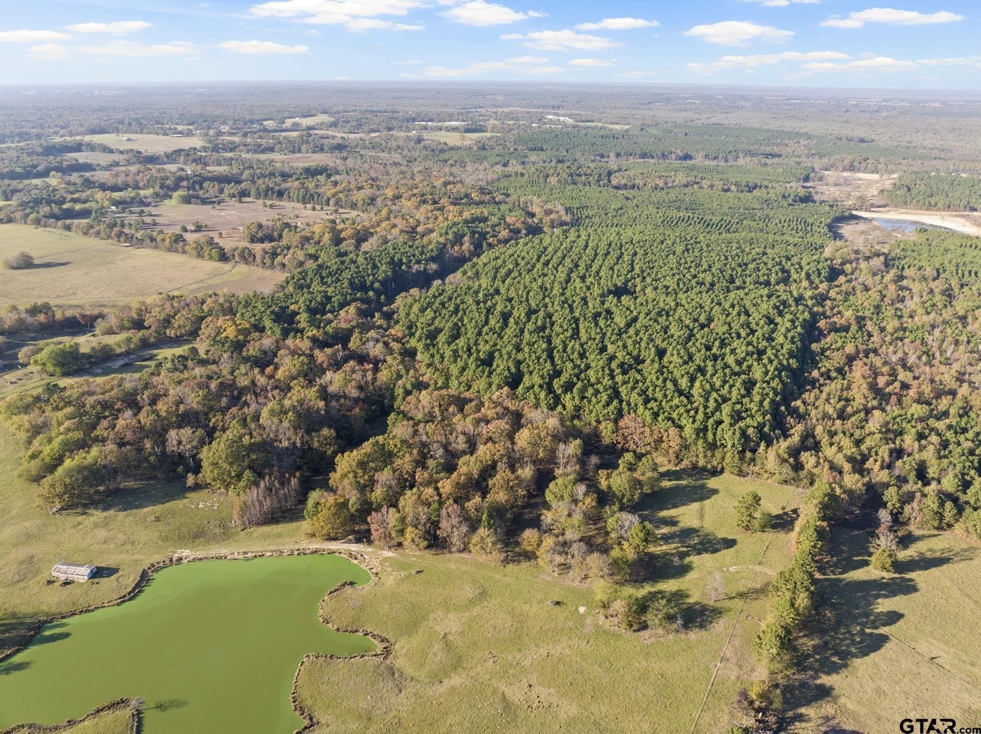 63.84 acres in Titus County - photo 5