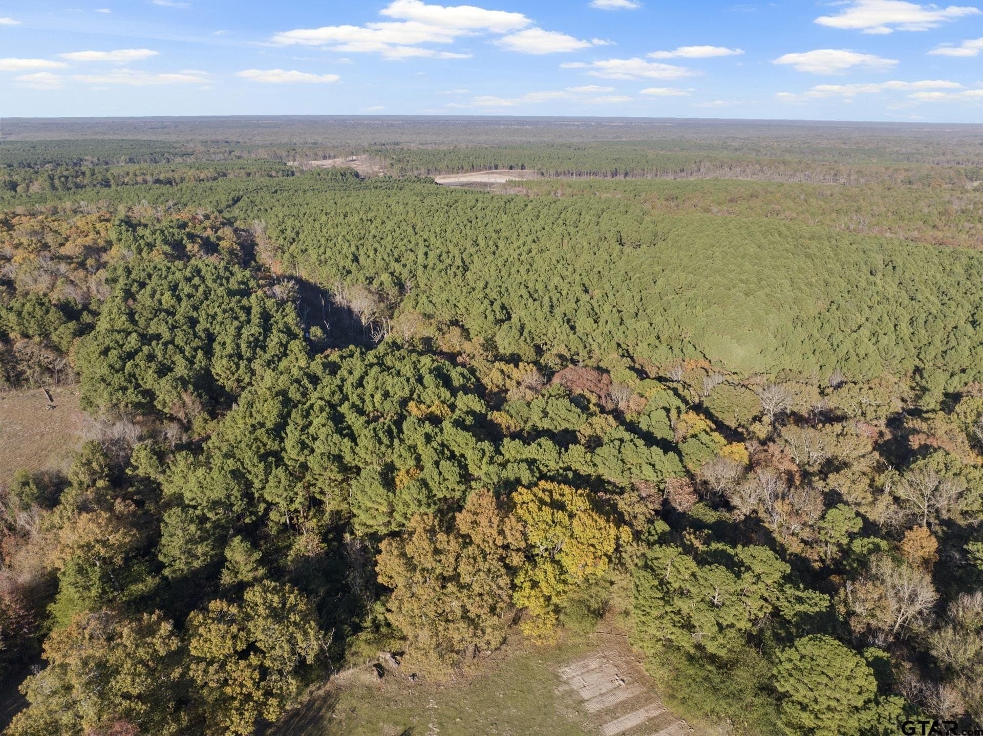 63.84 acres in Titus County - photo 6