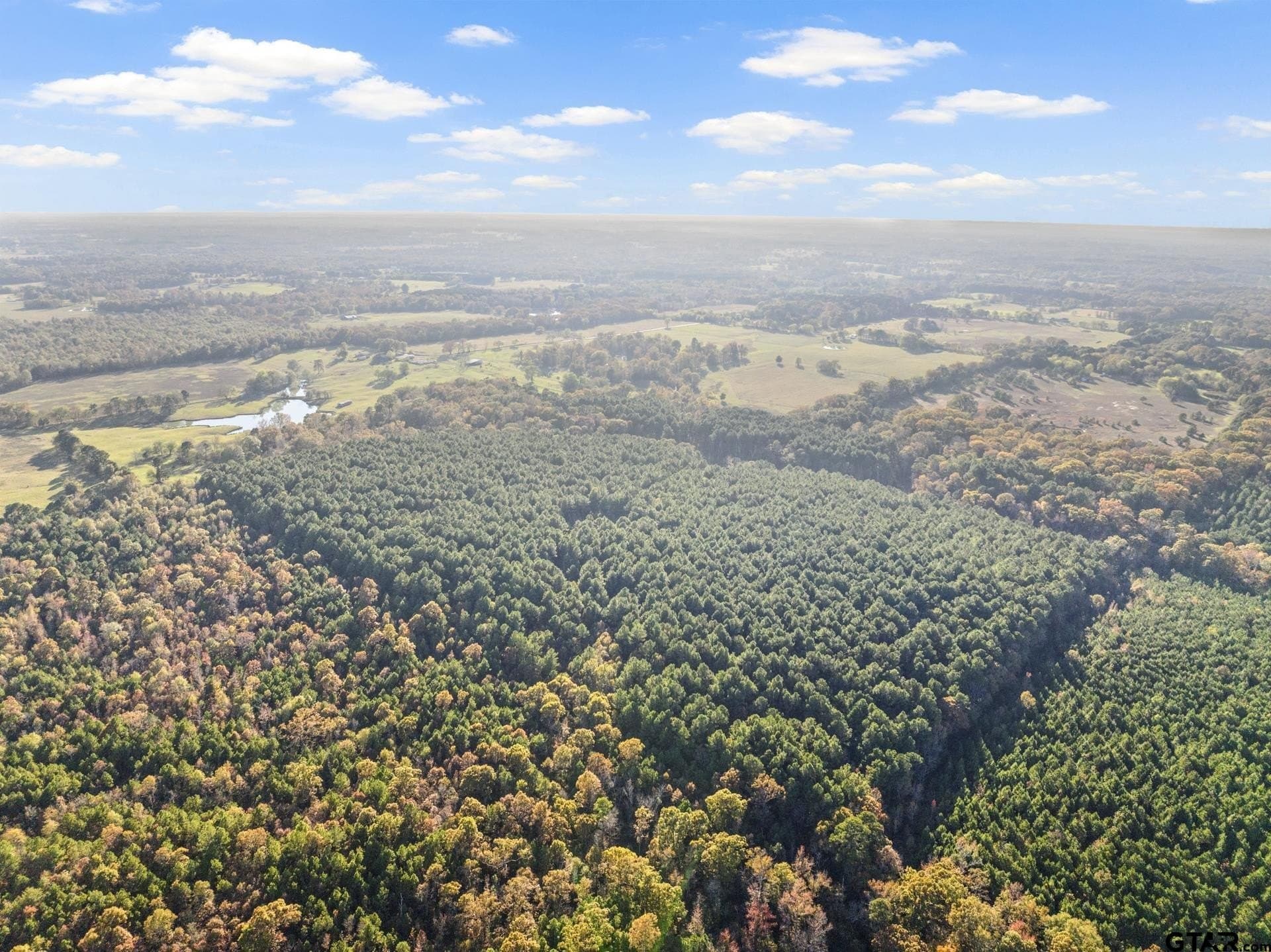 63.84 acres in Titus County - photo 13