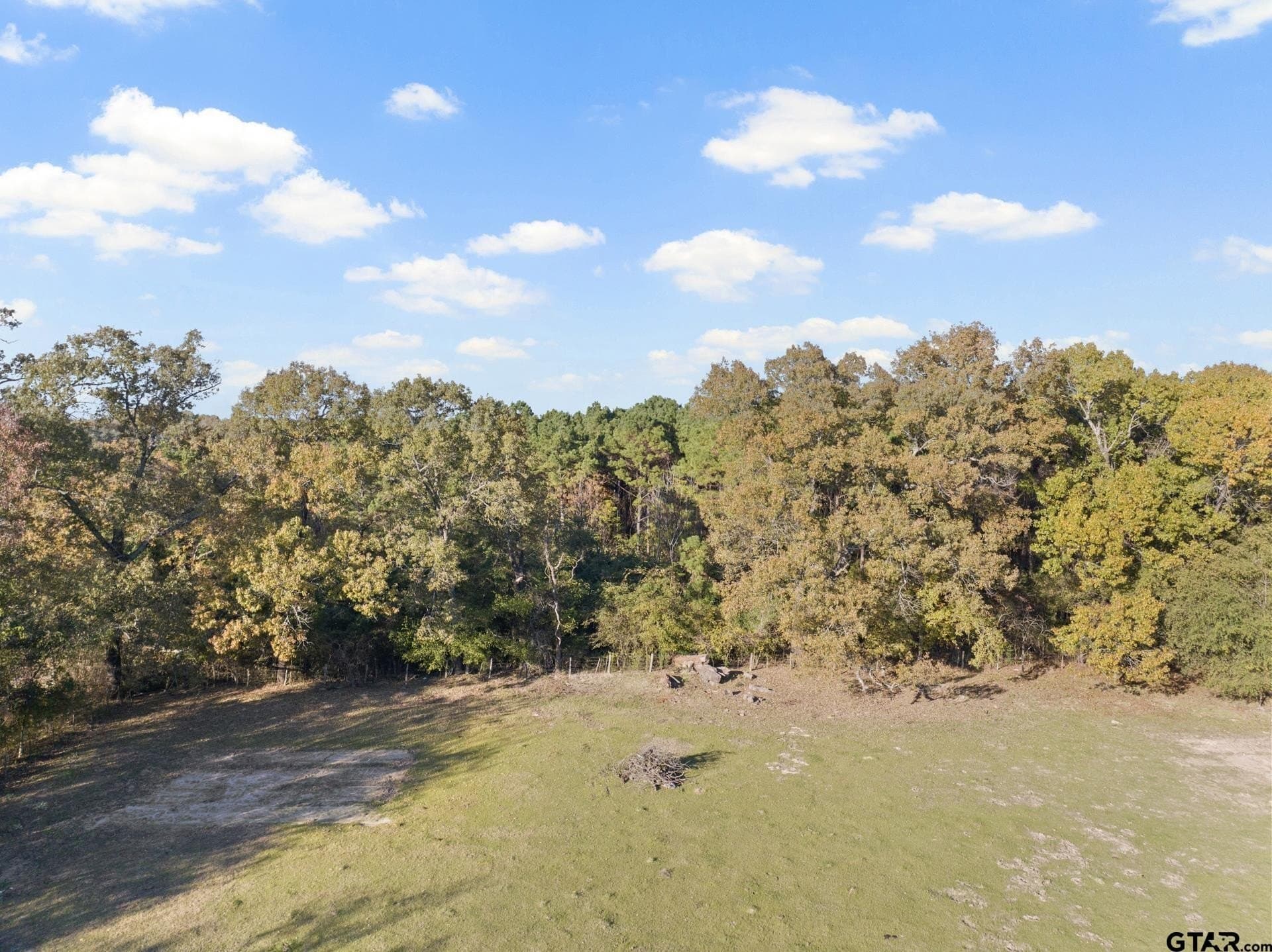 63.84 acres in Titus County - photo 12