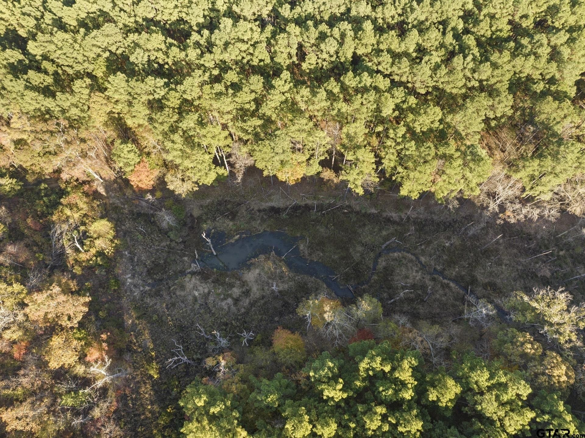 63.84 acres in Titus County - photo 8