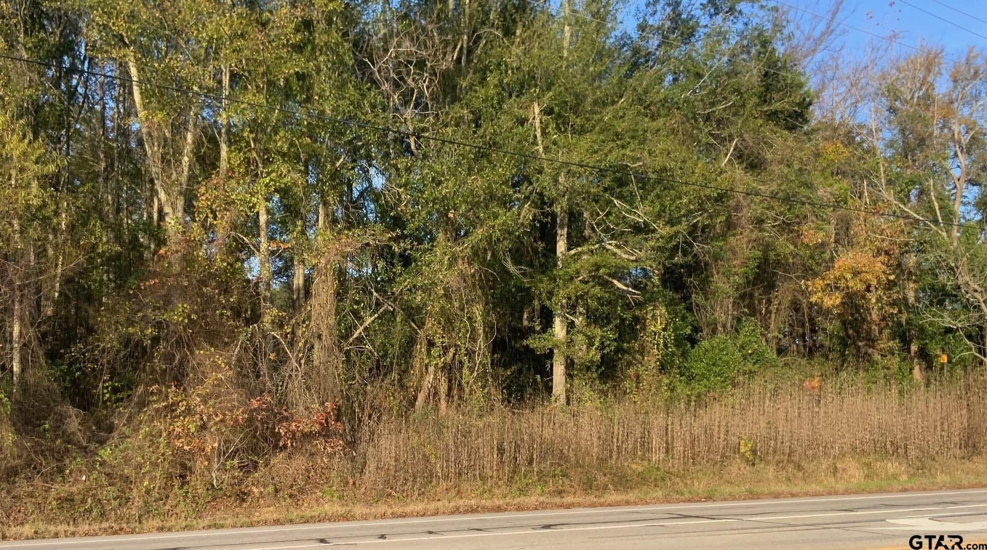 0.2 acres in Smith County - photo 3